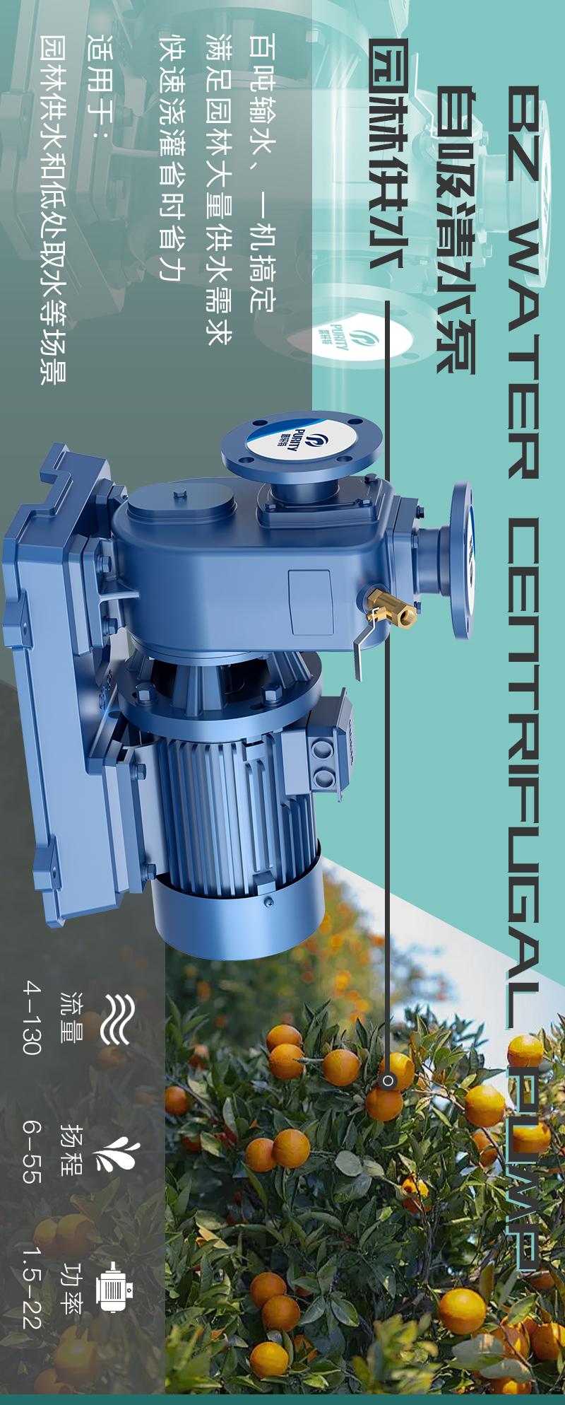 普轩特BZ自吸清水泵 普轩特BZ自吸清水泵